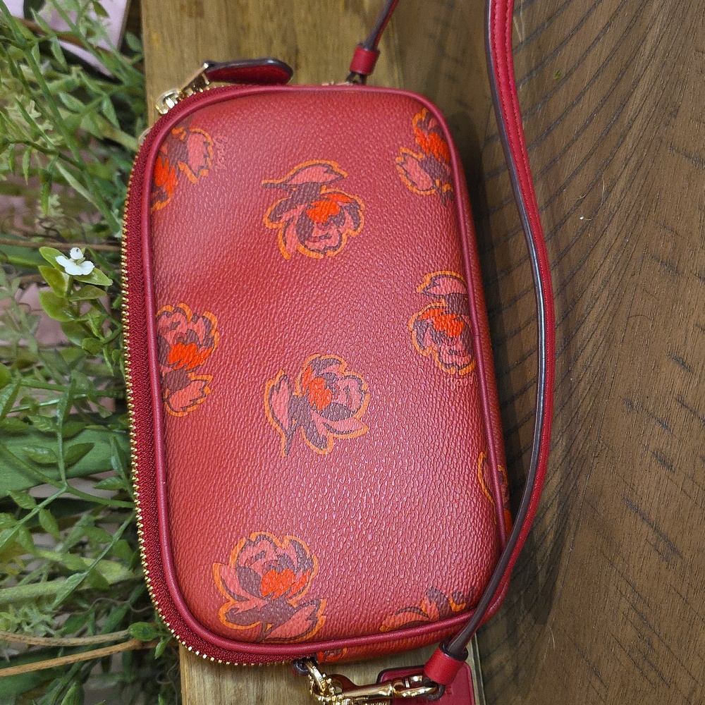 Coach Sadie Crossbody #31826 - Picture 3 of 9